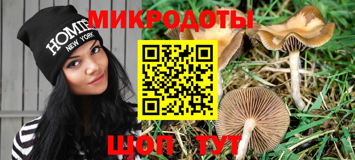 Галлюциногенные грибы мицелий Кушва