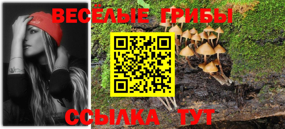 Галлюциногенные грибы Magic Shrooms  Вход с VPN  Кушва 